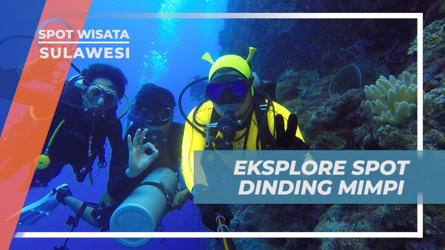 Menjelajahi Spot Diving Mimipi Dinding Mimpi di Bawah Laut Pulau Bomba, Sulawesi Tengah
