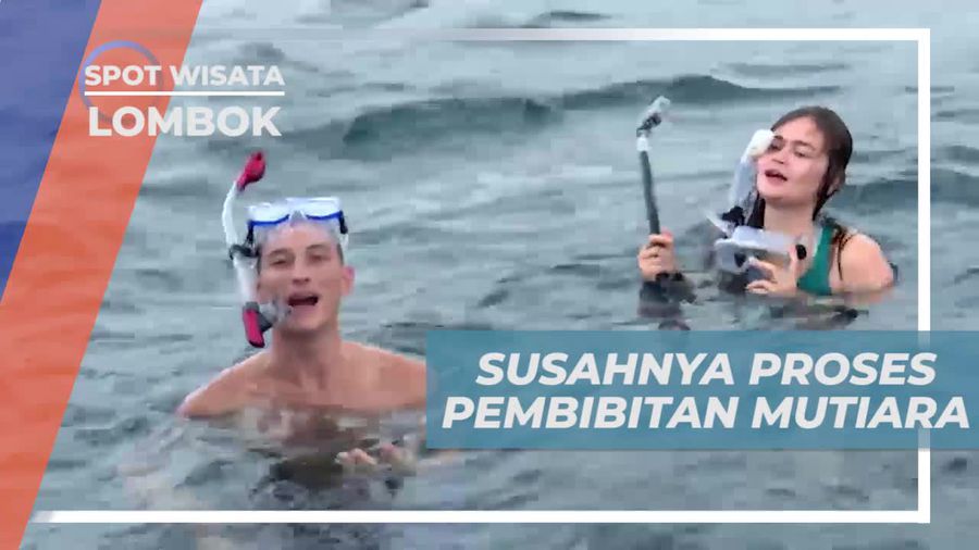 Mutiara Lombok, Bernilai Sangat Mahal Karena Tingkat Kesulitan Budidaya Tinggi