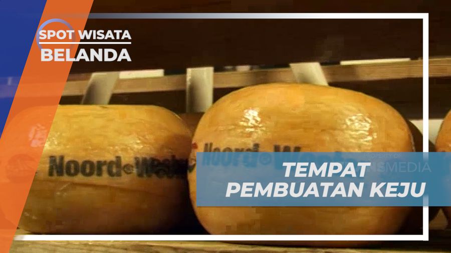 Mengunjungi Tempat Pembuatan Kuliner Keju Khas Belanda