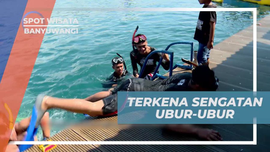 Terkena Sengatan Ubur-ubur, Perjuangan Untuk Melihat Terumbu Karang Pantai Bangsring Banyuwangi 