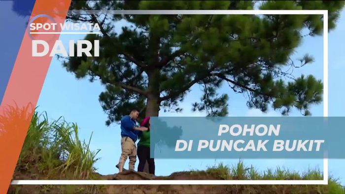 Perjalanan Menuju Pohon Besar di Puncak Bukit, Dairi Sidikalang