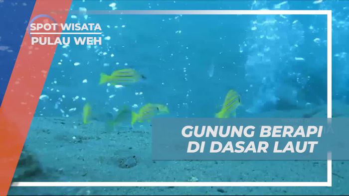 Melihat Dari Dekat Gunung Berapi di Dasar Laut Pulau Weh