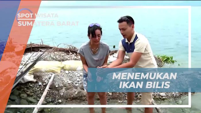 Menangkap Ikan Bilis Dengan Cara Tradisional, Danau Singkarak 