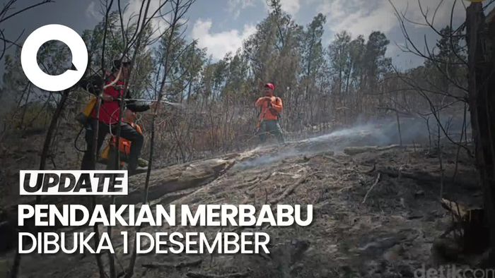 Pendakian ke Merbabu Dibuka Lagi Desember Setelah Tutup Akibat Kebakaran