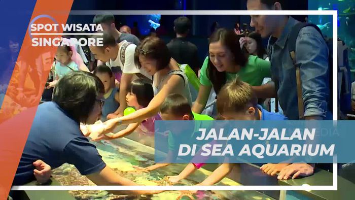 Melihat Ratusan Ribu Jenis Ikan di Sea Aquarium Singapura 