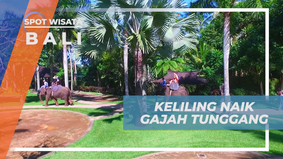 Serunya Berkeliling Taman Wisata Satwa Dengan Naik Gajah, Bali