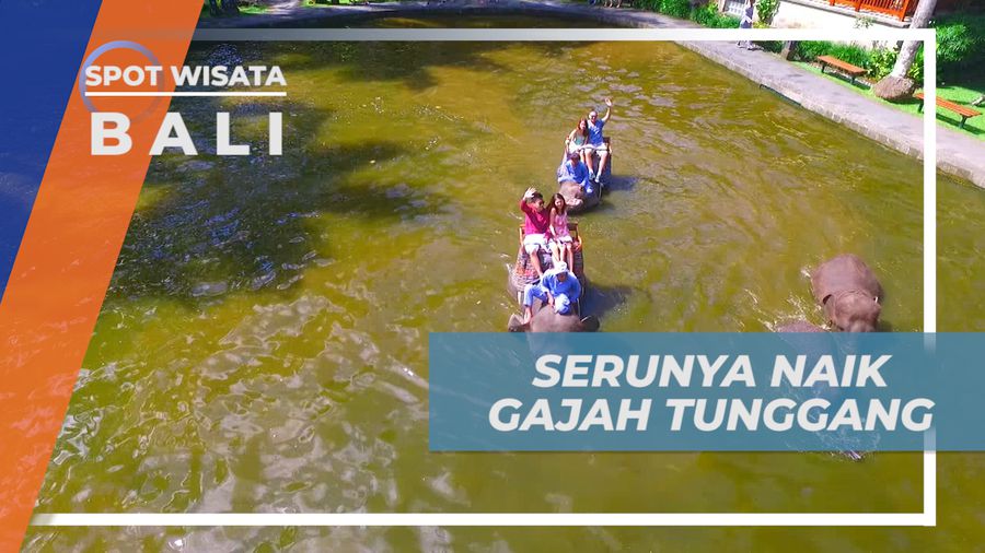 Sensasi Seru Melintasi Kolam Air Dengan Naik Gajah, Bali