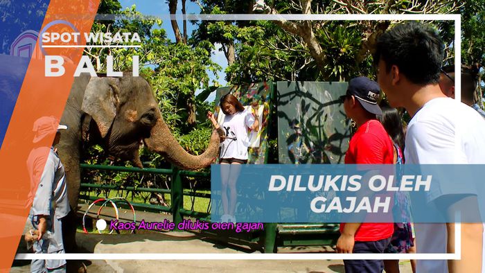 Pengalaman Seru, Dilukis Gajah Seniman di Taman Satwa, Bali
