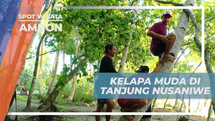 Mencari Kelapa Muda di Tanjung Nusaniwe Ambon