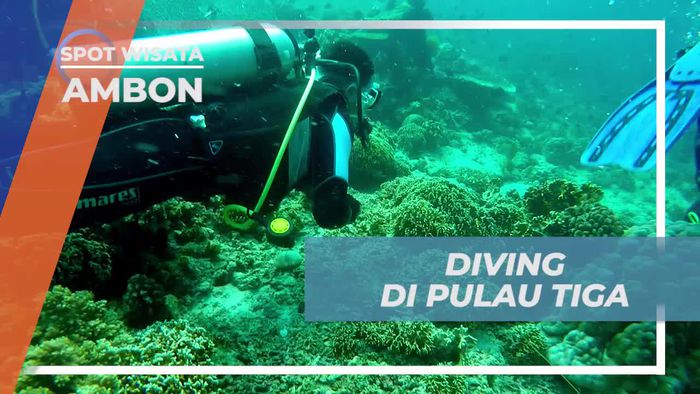 Menyelami Keindahan Bawah Laut Pulau Tiga Ambon