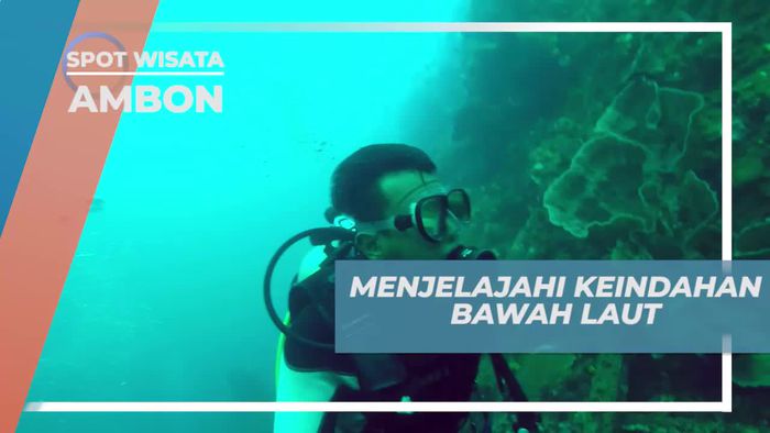 Menjelajah Lebih Jauh Dengan Diving di Pulau Tiga Ambon