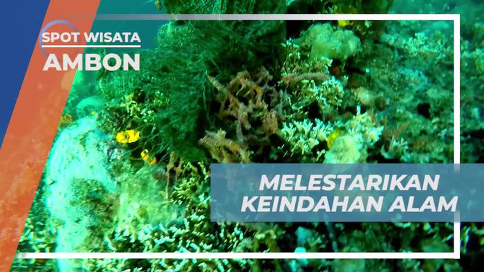 Melestarikan Keindahan Alam, Membersihkan Bawah Laut Pulau Tiga Ambon 