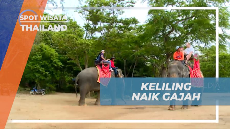 Berkeliling Kawasan The Sanctuary of Truth Dengan Naik Gajah, Thailand