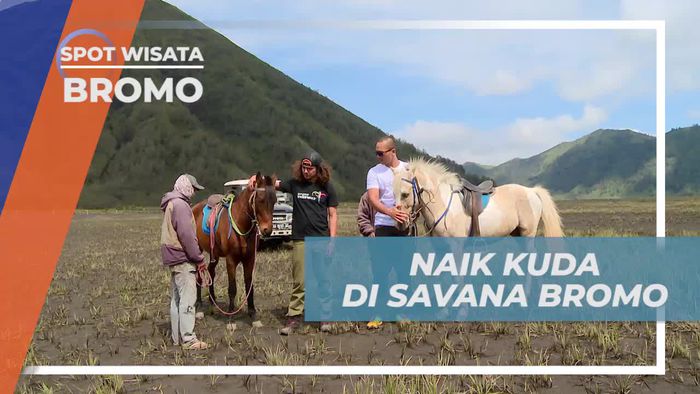 Bersiap Naik Kuda Menjelajahi Savana Bromo