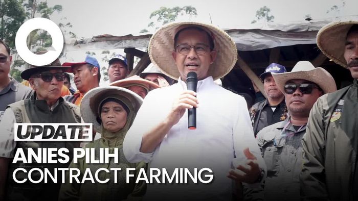 Anies Pilih Contract Farming Dibanding Food Estate, Ini Alasannya
