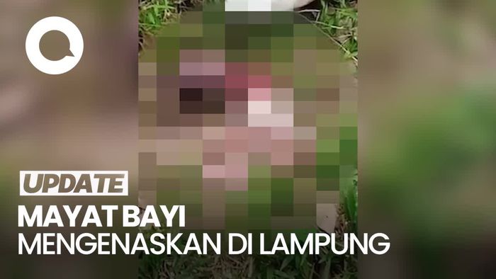 Miris! Mayat Bayi Sudah Dimakan Anjing Sebagian Ditemukan di Lampung