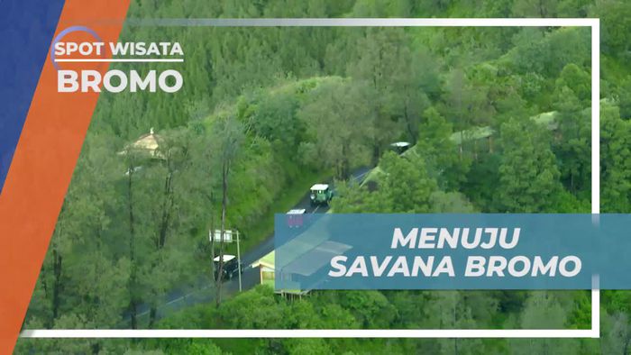 Naik Mobil Menuju Hamparan Savana Bromo