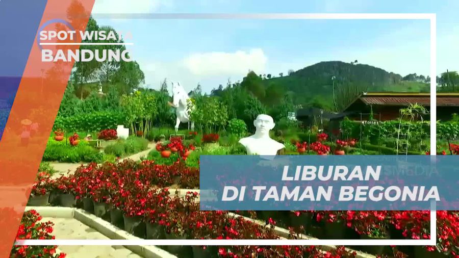 Aneka Bunga Cantik Warna-warni di Taman Begonia Bandung 