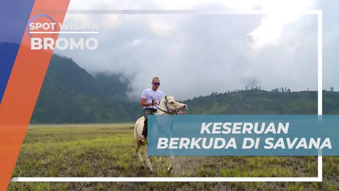 Berkuda Menyusuri Hamparan Lautan Pasir Savana Bromo