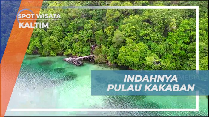 Pulau Kakaban, Vacation Seru Mengunjungi Pulau Cantik di Kalimantan Timur
