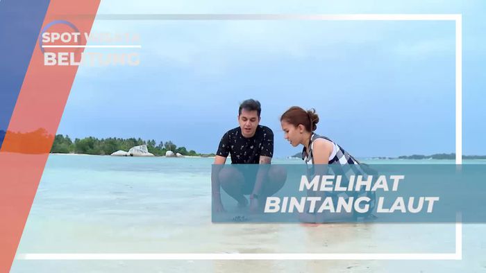 Bintang Laut Cantik di Tepi Pantai Pulau Babi Kecil Belitung