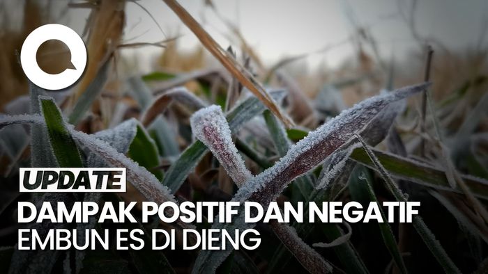 Fenomena Embun Es Muncul di Dieng, Sektor Pertanian Perlu Waspada