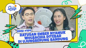 Ratusan Ember Nyamuk Wolbachia Ditebar di Ujungberung Bandung
