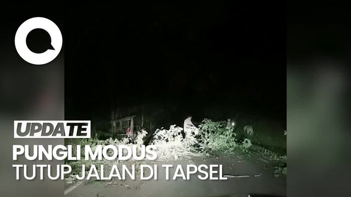 Viral! Pungli Modus Tutup Jalan Pakai Pohon di Tapsel, 3 Pria Ditangkap