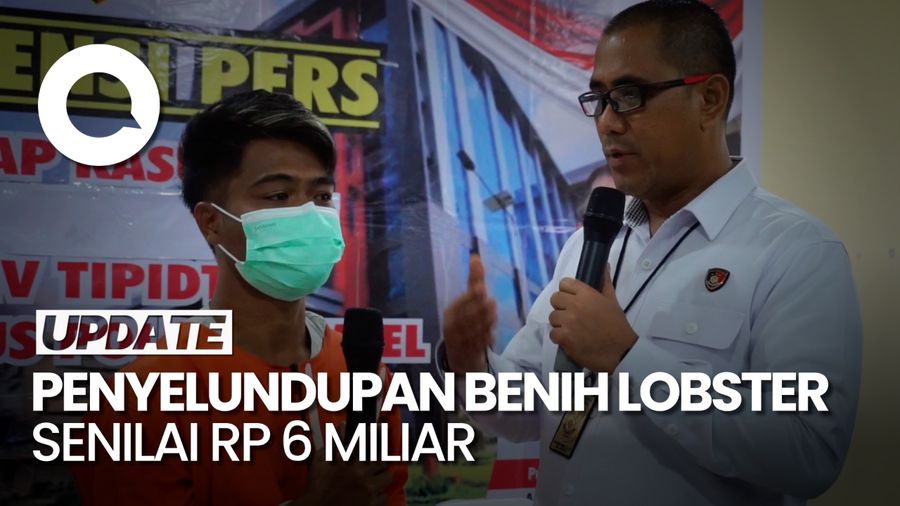 Polisi Gagalkan Penyeludupan Benih Lobster Senilai Rp 6 M di Palembang