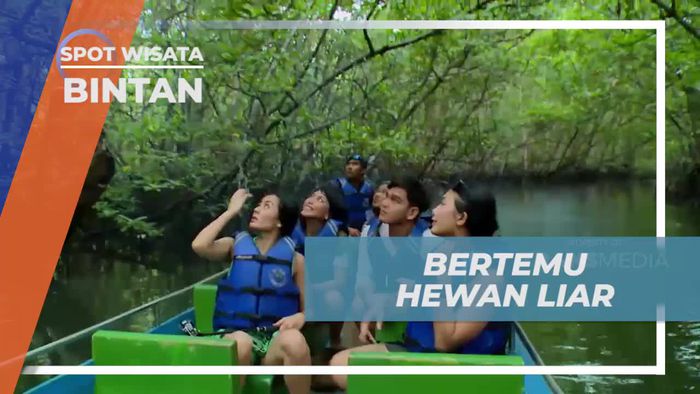 Bertemu Hewan Luar di Kawasan Hutan Mangrove Bintan