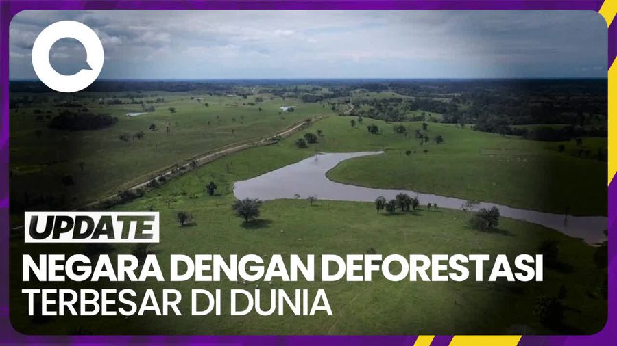 Indonesia Disebut Jadi Salah Satu Negara Pembabat Hutan Terbesar di Dunia