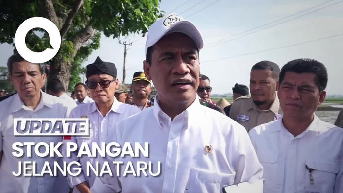 Mentan Amran Pastikan Stok Pangan Aman Jelang Nataru 