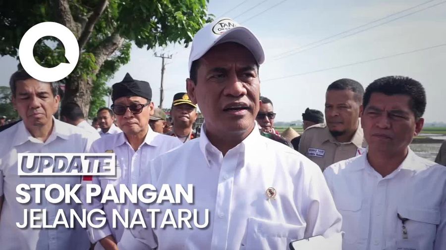 Mentan Amran Pastikan Stok Pangan Aman Jelang Nataru 