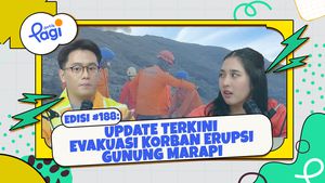 Update Terkini Evakuasi Korban Erupsi Gunung Marapi