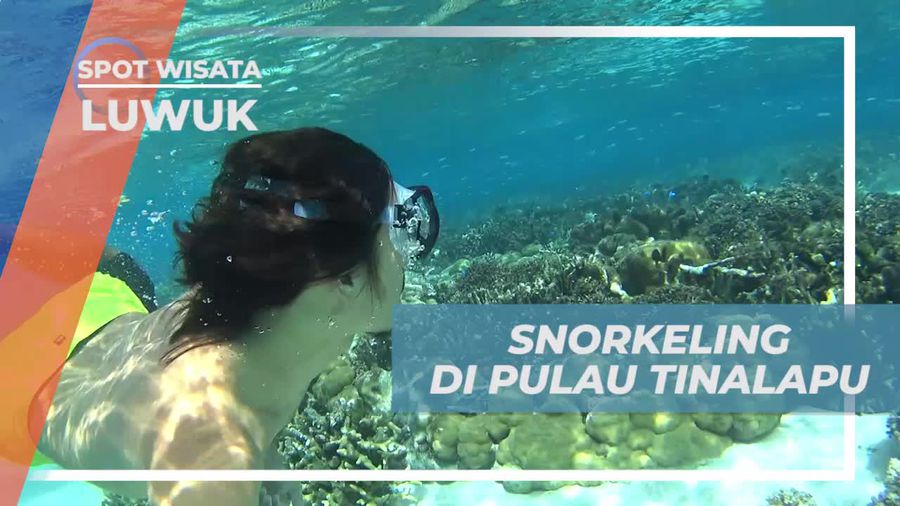 Snorkeling di Pulau Tinalapu Luwuk, Dimanjakan Keindahan Bawah Lautnya