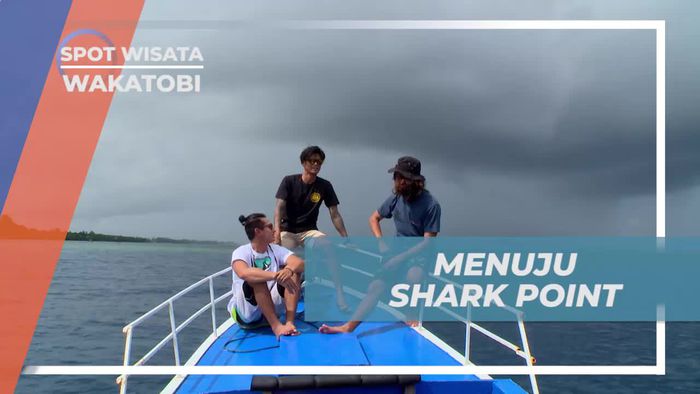 Perjalanan Menuju Shark Point, Spot Diving Indah di Wakatobi 