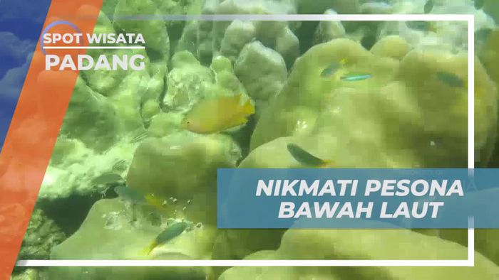 Snorkeling Menikmati Keindahan Biota Laut Pulau Cubadak Padang