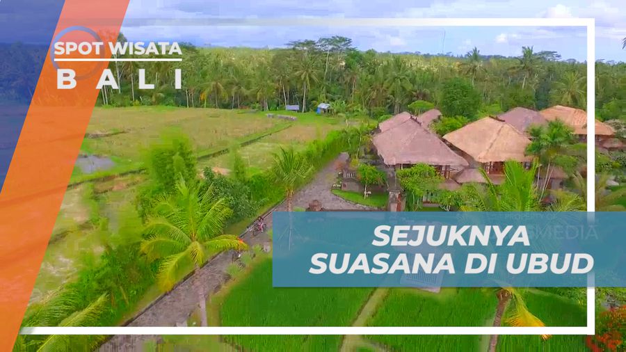 Menikmati Sejuknya Suasana Persawahan Hijau di Desa Ubud, Bali