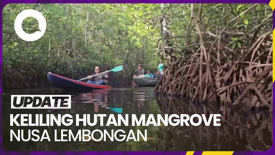 Naik Kano-Perahu Keliling Hutan Mangrove Nusa Lembongan Bali
