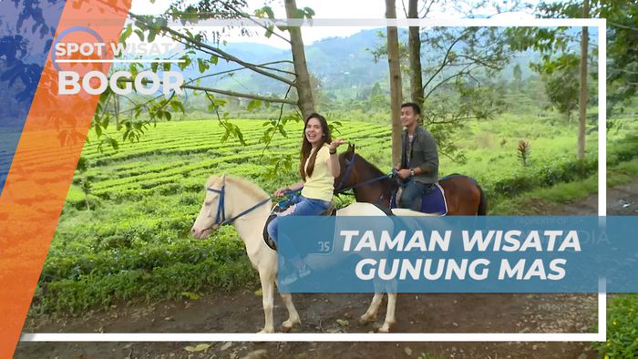 Vacation Seru Menikmati Sejuknya Suasana Perkebunan Teh di Puncak Bogor