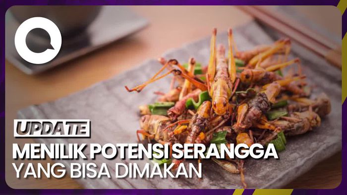 Potensi Serangga yang Bisa Dimakan dalam Kurangi Emisi Gas Rumah Kaca