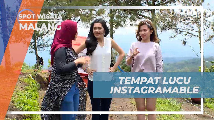 Liburan Seru, Menikmati Pesona Keindahan Alam Coban Rais yang Instagramable, Malang