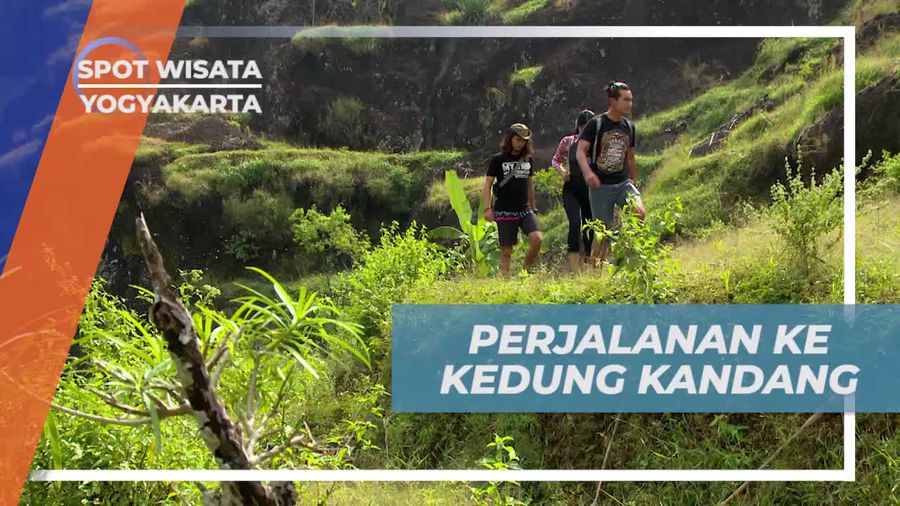 Dimanjakan Keindahan Alam Dalam Perjalanan Menuju Kedung Kandang Yogyakarta 