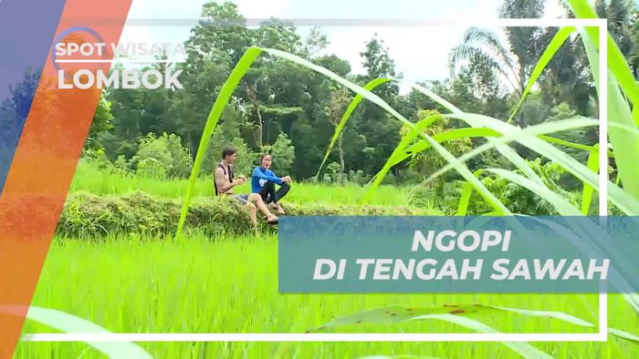 Menikmati Suasana Hijau Persawahan Berteman Segelas Kopi, Lombok