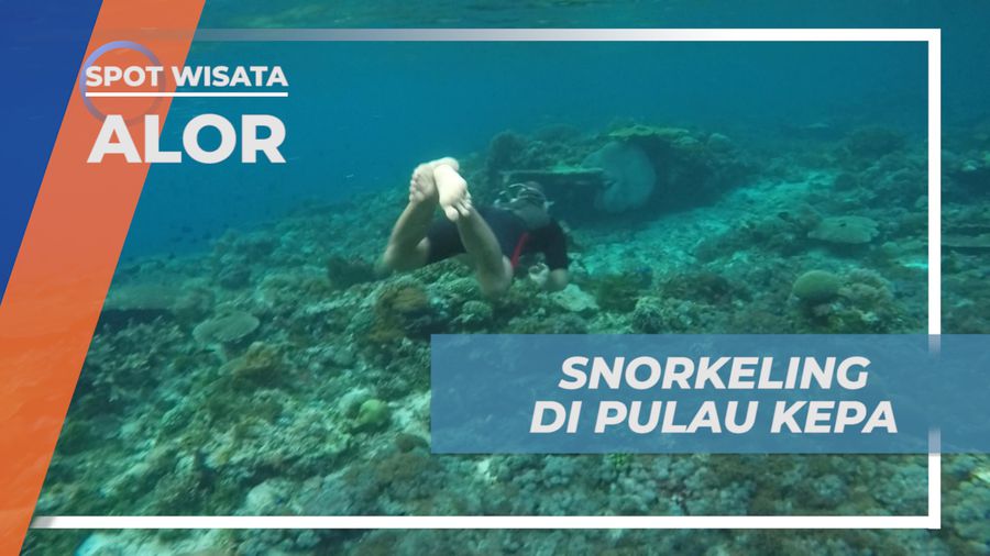 Mengintip Pesona Keindahan Bawah Laut Pulau Kepa, Alor
