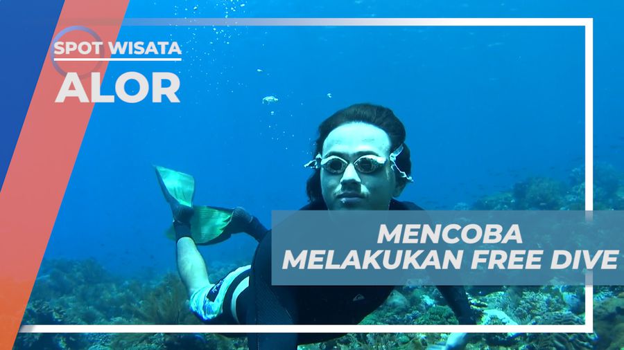 Sensasi Menjelajahi Bawah Laut Pulau Pura Dengan Free Dive, Alor