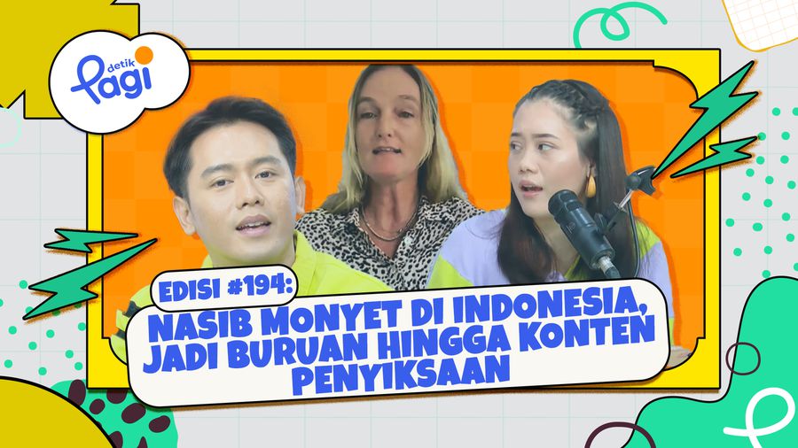 Nasib Monyet di Indonesia, Jadi Buruan hingga Konten Penyiksaan