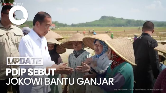 Presiden Bahas Keluhan Pupuk di Jateng, Hasto: Jokowi Bantu Ganjar