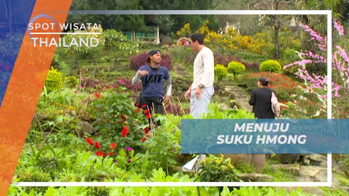 Menjelajahi Negeri Gajah Putih, Mengunjungi Desa Wisata Suku Hmong, Thailand