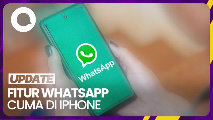 3 Fitur Baru WhatsApp Hanya Ada di iPhone